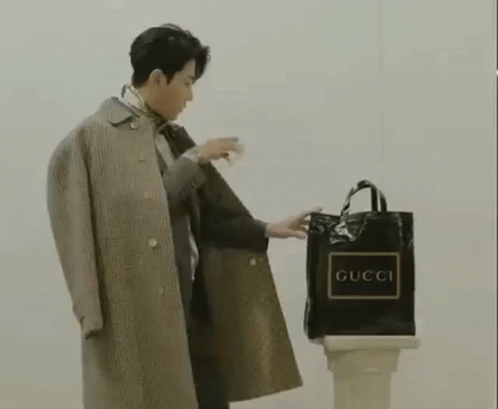 Cha Seung Won Korean Model GIF - Cha Seung Won Korean Model Bag Model GIFs