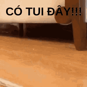 a picture of a person standing on a wooden floor with the words " co tui day " written in black letters