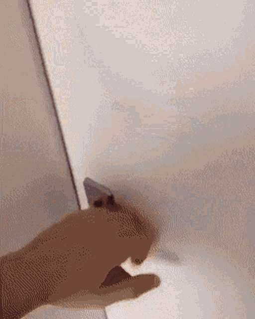 Busy Typing GIF - Busy Typing Laptop GIFs