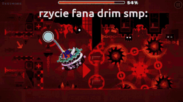 a screenshot of a video game with the words " rzycie fana drim smp "