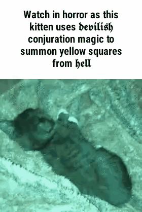 Chesse Hell GIF - Chesse Hell Cat GIFs