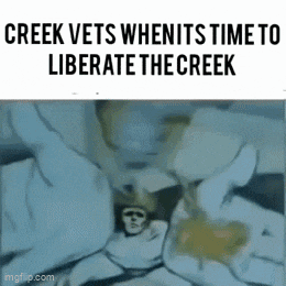a dog is laying in a bed with the words creek vets whenits time to liberate the creek