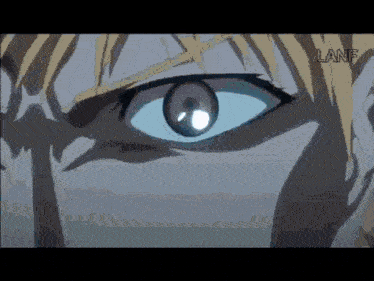 a close up of a person 's eye with the word lane in the lower right corner