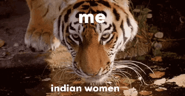 Indian Women Aish GIF - Indian Women Aish Libby GIFs