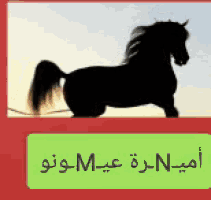 a silhouette of a black horse with arabic writing on it
