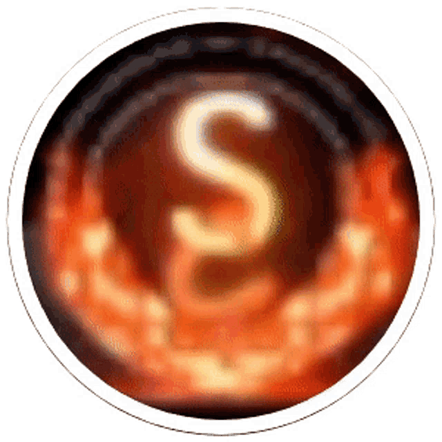 the letter s is surrounded by flames in a circle .