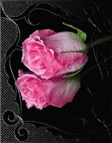 Pink Rose4u My Love I Love You GIF - Pink Rose4u My Love Pink Rose I Love You GIFs