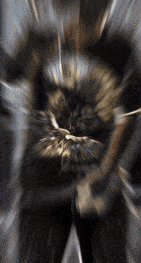 a blurry picture of a cat 's face with a few lines coming out of it