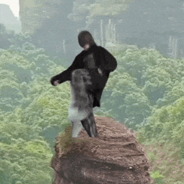 a person is standing on top of a rock in the middle of a forest .