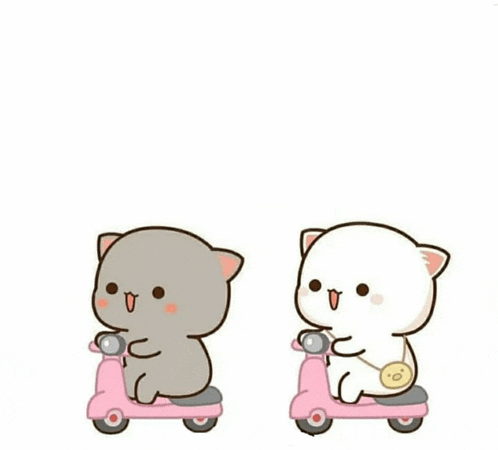 two cats are riding scooters on a white background . one is gray and the other is white .