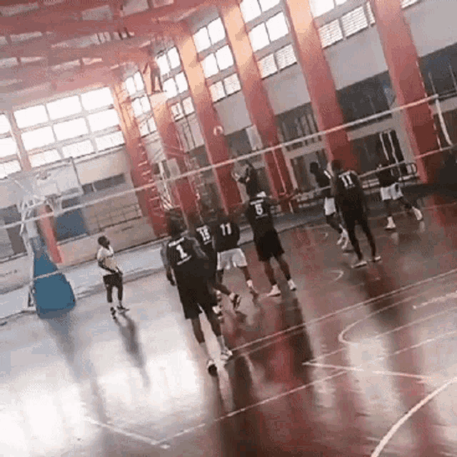 a group of basketball players are playing in a gym and one of them has the number 1 on his back