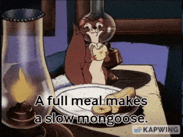 Rikki Tikki Tavi Mongoose GIF - Rikki Tikki Tavi Mongoose Full Meal GIFs
