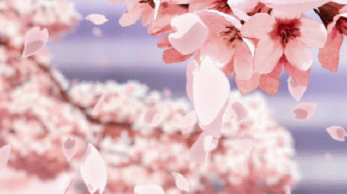 Spring Fall GIF - Spring Fall Weather GIFs