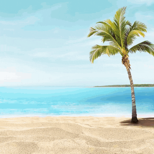 a beach scene with a sign that says ' menang di mentos banyak '