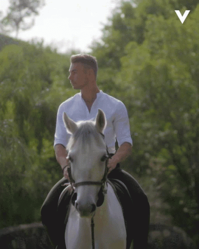 Riding Horse Videoland GIF - Riding Horse Videoland Prince Charming GIFs