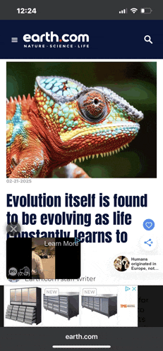 a chameleon is featured on the earth.com page