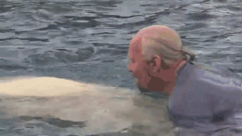 a dolphin is swimming in the ocean with the letters dg in the corner