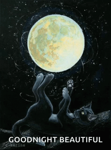 Bonne Nuit Moon GIF - Bonne Nuit Moon Black Cat GIFs