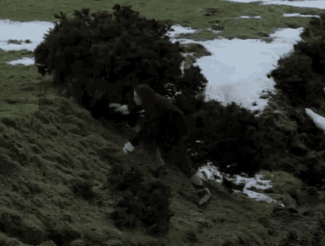a person in a hooded jacket is walking up a hill