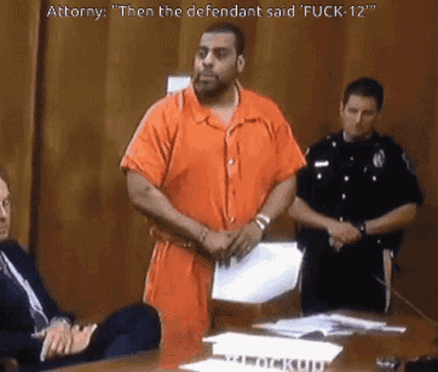 a man in an orange jumpsuit stands in front of a judge and says " then the defendant said "