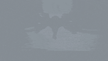 a silhouette of a bird with wings spread