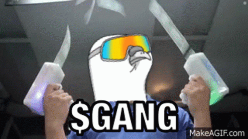 Gang Gang Gutter Cat Gang GIF - Gang Gang Gutter Cat Gang GIFs