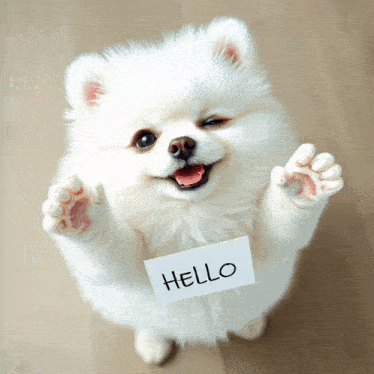 a small white dog is holding up a sign that says hello