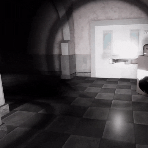 a black and white photo of a room with a shadow of a person