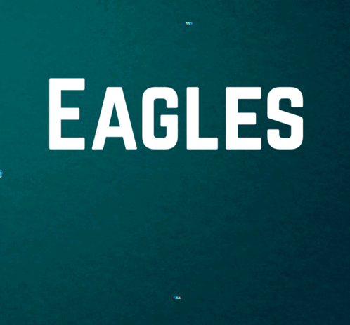 Philadelphia Eagles Fly Eagles Fly GIF