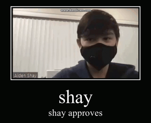 Shay Aiden Shay GIF - Shay Aiden Shay GIFs