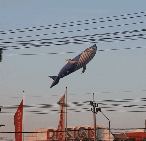 a whale shaped kite is flying over a design building