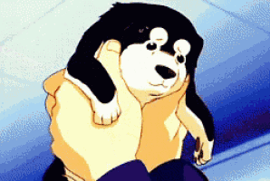 a black and white dog is being held by someone