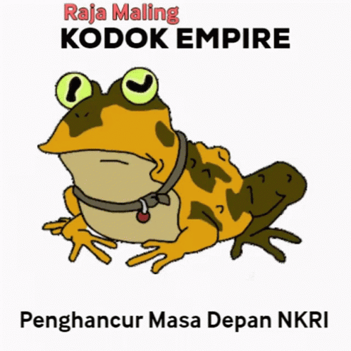 Kodok Frog GIF - Kodok Frog Kecebong GIFs