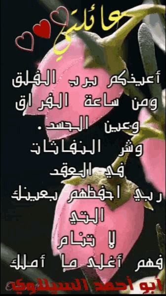a picture of pink flowers with arabic writing on them