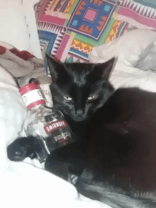 a black cat laying on a bed next to a bottle of smirnoff