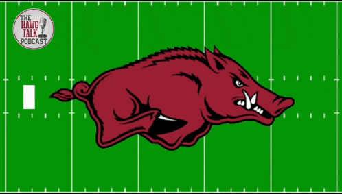an ad for the hang talk podcast with a picture of a boar on a football field