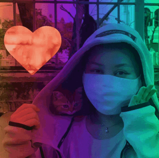 a girl wearing a mask and a hoodie holds a cat