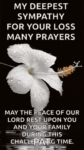 a white flower with water drops on it is on a black background with a prayer .