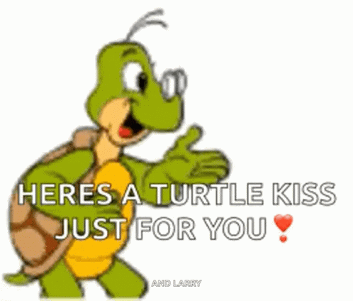 Turtle Kiss GIF - Turtle Kiss Flying GIFs