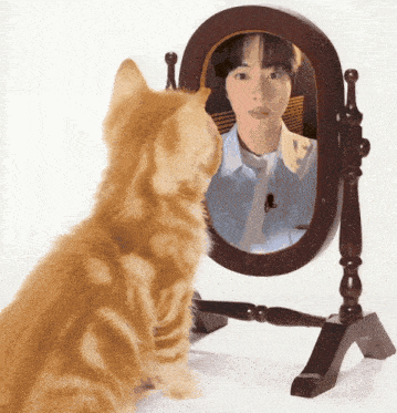 a cat looking at itself in a mirror with a picture of a man on it