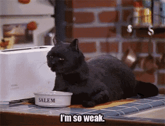 a black cat is sitting next to a bowl that says salem