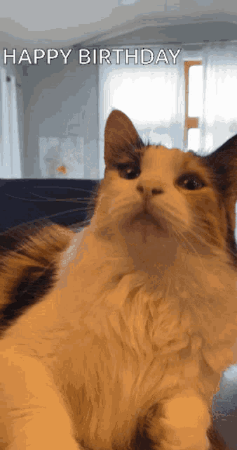 a cat with the words happy birthday written on it