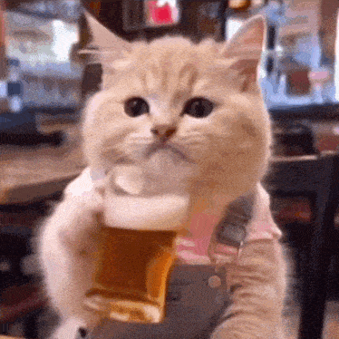 a cat is holding a glass of beer in its paws while sitting at a table .