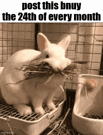 a white rabbit in a cage with hay in its mouth