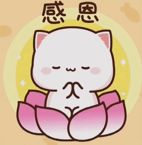 Mitao Cat Mochi Cat GIF