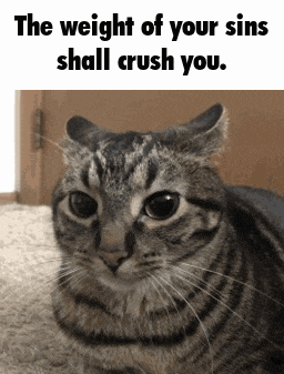 a cat is laying on the floor with a caption that says the weight of your sins shall crush you
