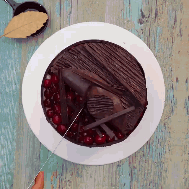 a white plate with a chocolate cake on it