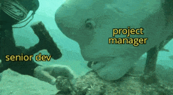 It Management GIF - It Management Developer GIFs