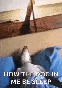 a dog is laying on a bed with the words how the dog in me be sleep above it