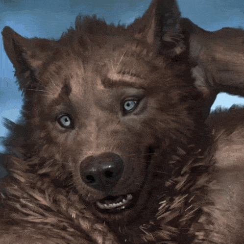 a close up of a person 's face with a furry hood